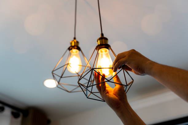 Best Local Electrician Companies  in Walthourville, GA