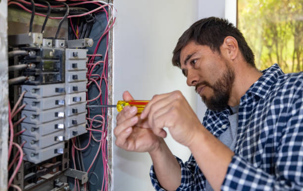 Best Ceiling Fan Installation Electrician  in Walthourville, GA